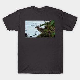 Juvenile Black-crowned Night-Heron T-Shirt